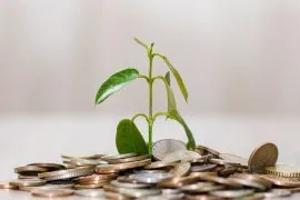 money-coins-finance-3382555.jpg